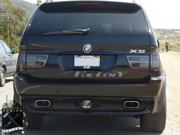 Фонари для BMW X5 E53, хром /тонированные