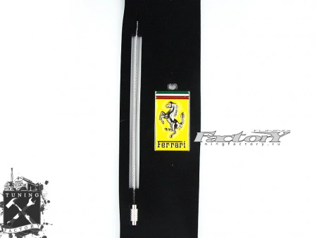 Брелок Ferrari, логотип
